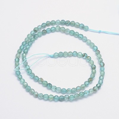 Faceted Round Natural Apatite Bead Strands G-I156-05-1