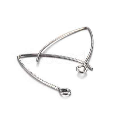 Tarnish Resistant 304 Stainless Steel Earring Hooks STAS-F191-02P-B-1