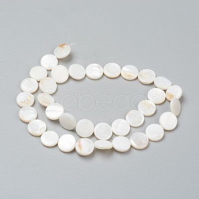 Natural Freshwater Shell Beads BSHE-I011-01E-02-1