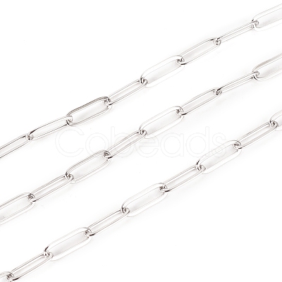 Tarnish Resistant 304 Stainless Steel Paperclip Chains STAS-K209-07P-1