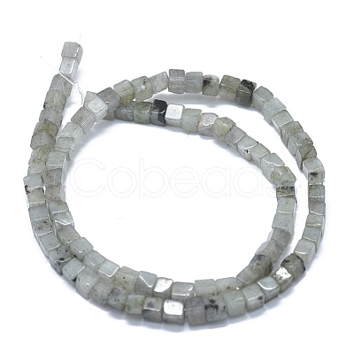 Natural Labradorite Beads Strands G-F631-C08-1