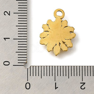 304 Stainless Steel Pendants STAS-Z092-01G-04-1