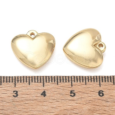 304 Stainless Steel Pendants SA-CBA3037-20G-09-1
