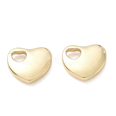 304 Stainless Steel Charms SA-CBA3037-20G-02-1