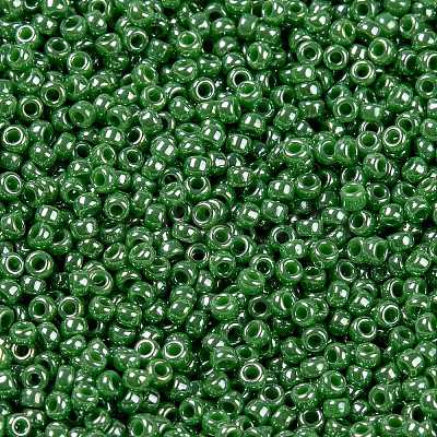 MIYUKI Round Rocailles Beads X-SEED-G009-RR0431-1
