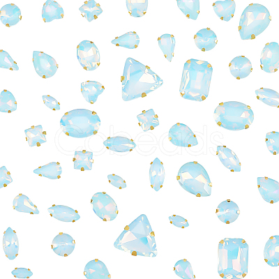 Glass Steel Claw Sew on Rhinestone FIND-WH20040-07G-02-1