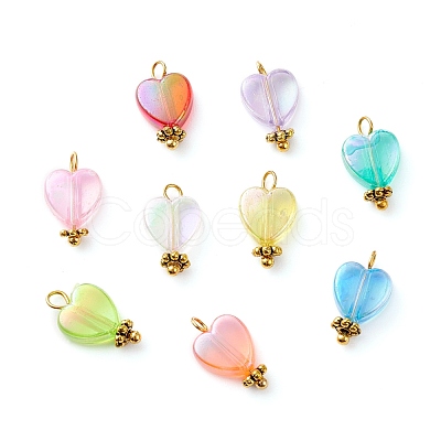 Eco-Friendly Transparent Acrylic Charms PALLOY-JF00749-02-1