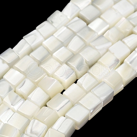Natural Trochid Shell/Trochus Shell Beads Strands SHEL-C010-05B-1