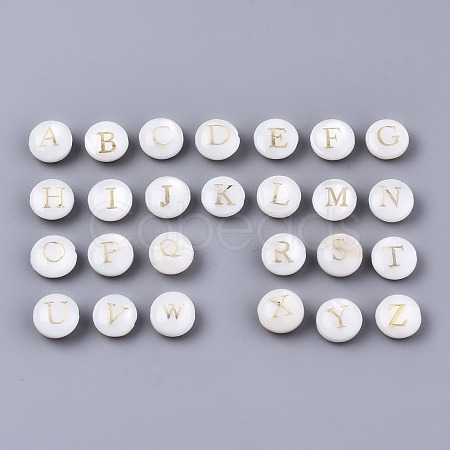 Natural Freshwater Shell Beads SHEL-S266-12-1