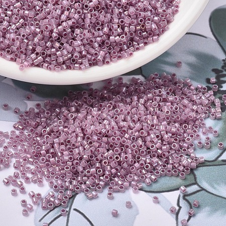 MIYUKI Delica Beads X-SEED-J020-DB1752-1