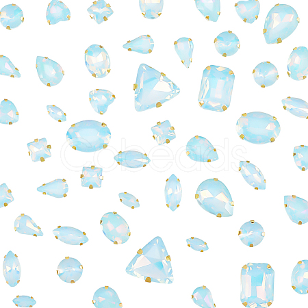 Glass Steel Claw Sew on Rhinestone FIND-WH20040-07G-02-1