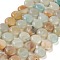 Natural Flower Amazonite Beads Strands, Flat Round, 14.6~15.5x6~6.5mm, Hole: 0.8mm, about 27pcs/strand, 15.59''~15.87''(39.6~40.3cm)