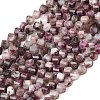 Natural Plum Blossom Tourmaline Beads Strands G-P611-C36-01-2