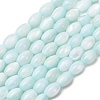 Dyed Natural Freshwater Shell Beads Strands SH-CBA2978-06C-1