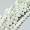 Natural Rainbow Moonstone Beads Strands G-F674-08-8mm-1