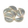Natural Labradorite Pendants X-G-Q971-10-1