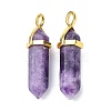 Natural Lepidolite/Purple Mica Stone Pointed Pendants G-G025-01G-30-2