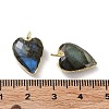 Natural Mixed Stone Pendants G-G012-11G-B-4