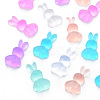 Transparent Resin Cabochons X-CRES-Q216-014-1