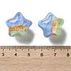 Gradient Color Transparent Hand-drawed Acrylic Beads TACR-P012-01B-10-3