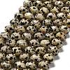 Natural Dalmatian Jasper Beads Strands G-P573-A63-10x6mm-2