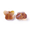 Transparent Glass Beads GLAA-P037-02A-13-2