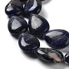 Natural Sodalite Beads Strands G-L242-19-4