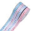 Mixed Baby Shower Ornaments Decorations Polyester Grosgrain Ribbons OCOR-X0001-1