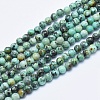 Natural African Turquoise(Jasper) Beads Strands G-E444-47-4mm-1
