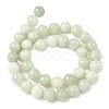 Natural Xiuyan Jade Beads Strands G-Z085-A01-10mm-3