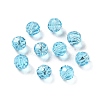 K9 Glass Imitation Austrian Crystal Beads GLAA-H024-17A-05-1
