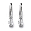 304 Stainless Steel Micro Pave Cubic Zirconia Hoop Earrings STAS-R004-07P-02-4