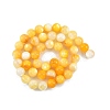 Natural Golden Yellow Shell Beads Strands SSHEL-G024-01D-2