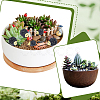 40Pcs 2 Styles Resin Hedgehog Display Decoration DJEW-SP0001-42-6