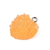 Resin Pendants FIND-U031-11B-P-2