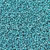 MIYUKI Delica Beads SEED-X0054-DB0427-3