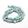 Natural Larimar Chip Beads Strands X-G-E271-77-2