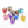 Resin European Beads RPDL-R009-M-1
