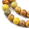 Dyed Natural Regalite/Imperial Jasper/Sea Sediment Jasper Beads Strands G-B124-C02-04-4