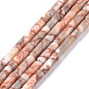 Natural Red Netstone Beads Strands X-G-F247-51-1