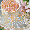 Handmade Polymer Clay Cabochons CLAY-TADJ0001-01D-5
