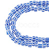 2Strands Handmade Lampwork Beads Strands BLOW-TADJ0001-01D-1