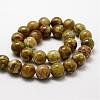 Round Natural Dragon Blood Jasper Beads Strands G-K072-8mm-2