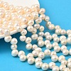 Natural Cultured Freshwater Pearl Beads Strands PEAR-I007-04E-02B-1