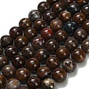 Natural Pietersite Beads Strands G-L642-B16-12mm-2