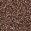 MIYUKI Delica Beads X-SEED-J020-DB1732-3
