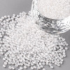 11/0 FGB Grade A Transparent Glass Seed Beads X-SEED-N001-F-238-1