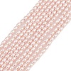 Electroplated Shell Pearl Beads Strands BSHE-H113-06A-07-1