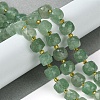 Natural Green Strawberry Quartz Beads Strands G-Q010-A20-01-2