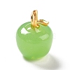 Handmade Lampwork Pendants LAMP-A150-06MG-08-01-3